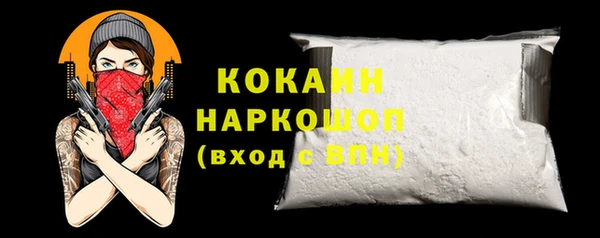 стаф Алзамай