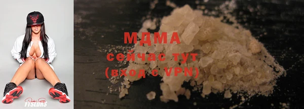 стаф Алзамай