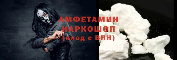 СК Алексин