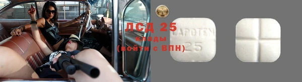 стаф Алзамай