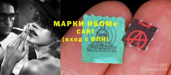 стаф Алзамай