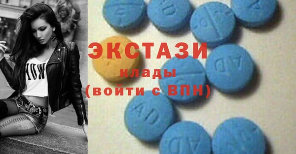 СК Алексин