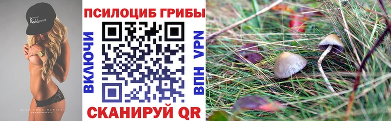 купить наркотики цена Архангельск Псилоцибиновые грибы ЛСД