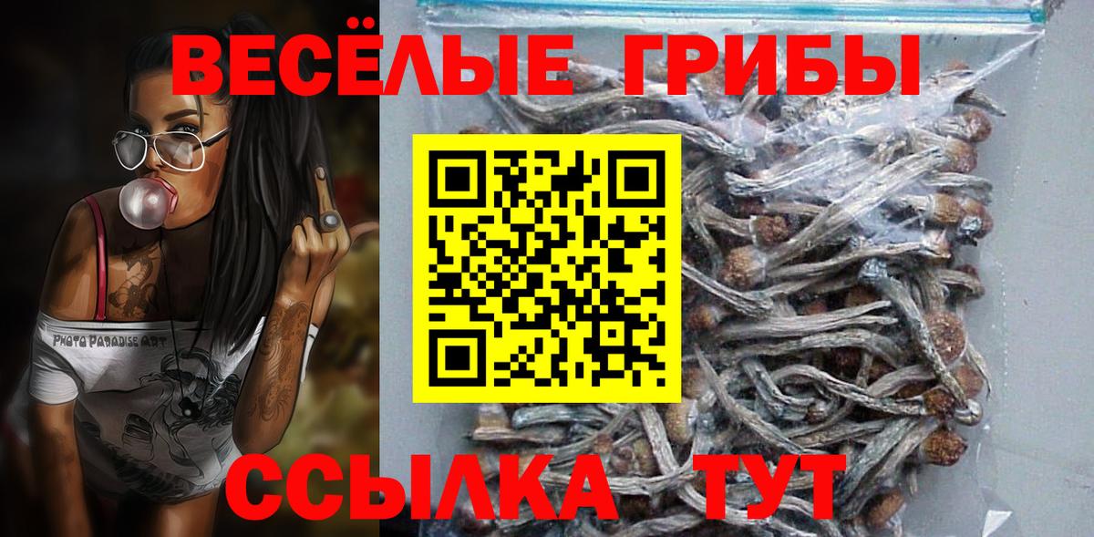 Галлюциногенные грибы Psilocybine cubensis Архангельск