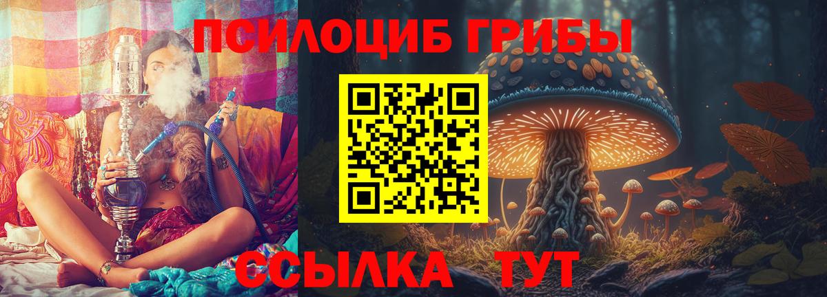 закладка  Вход с VPN  Архангельск  Псилоцибиновые грибы Psilocybe 