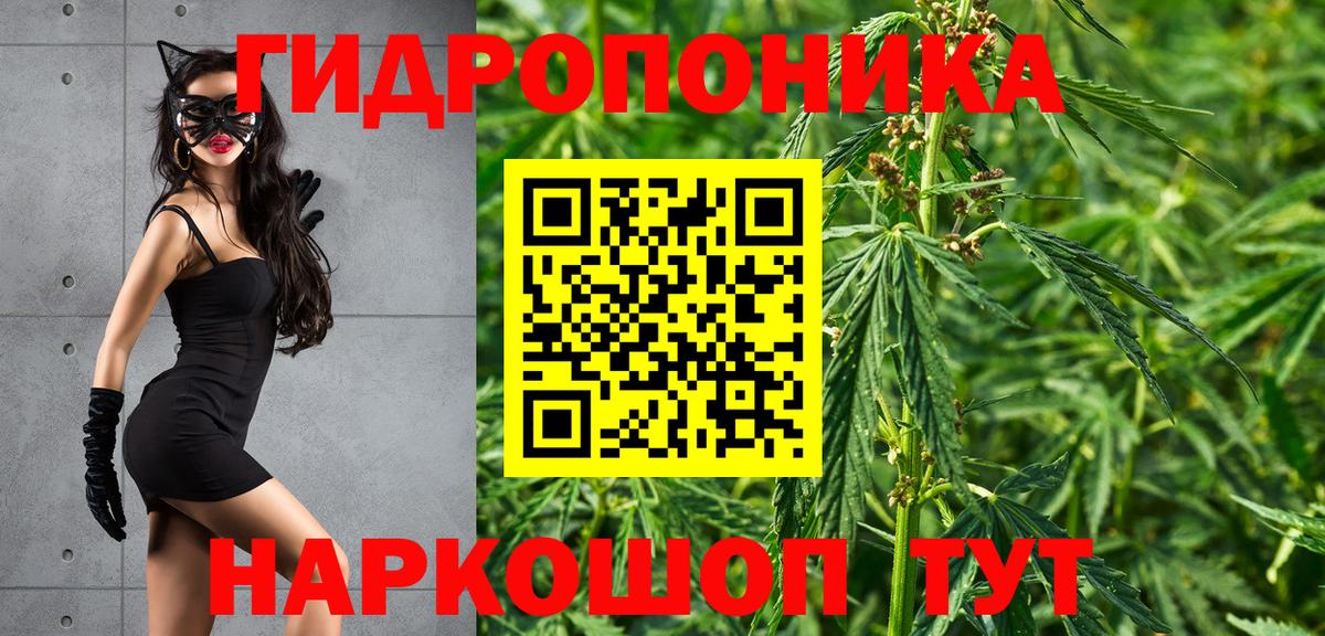 Бошки Шишки тримм  Бошки Шишки Amnesia  Марихуана конопля  Архангельск  Вход с VPN 
